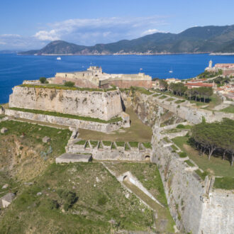 Medici Fortresses