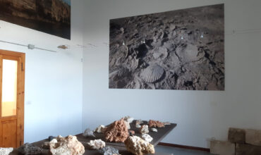 museo delle scienze geologiche e archeologiche dell'isola di pianosa