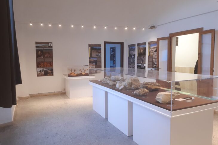 museo delle scienze geologiche e archeologiche dell'isola di pianosa
