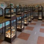 Museo Civico Archeologico del Distretto Minerario, Comune di Rio