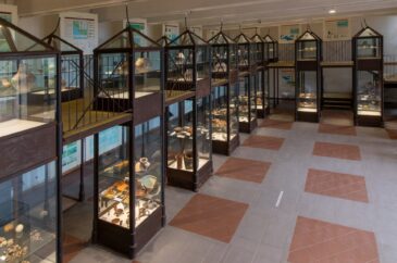 Museo Civico Archeologico del Distretto Minerario, Comune di Rio