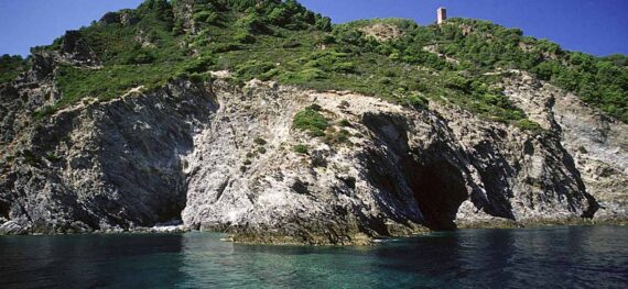 Isola di Gorgona, Comune di Livorno